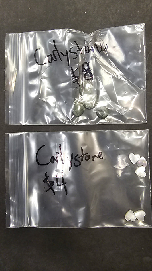 Carlystone at 12 (2/25)