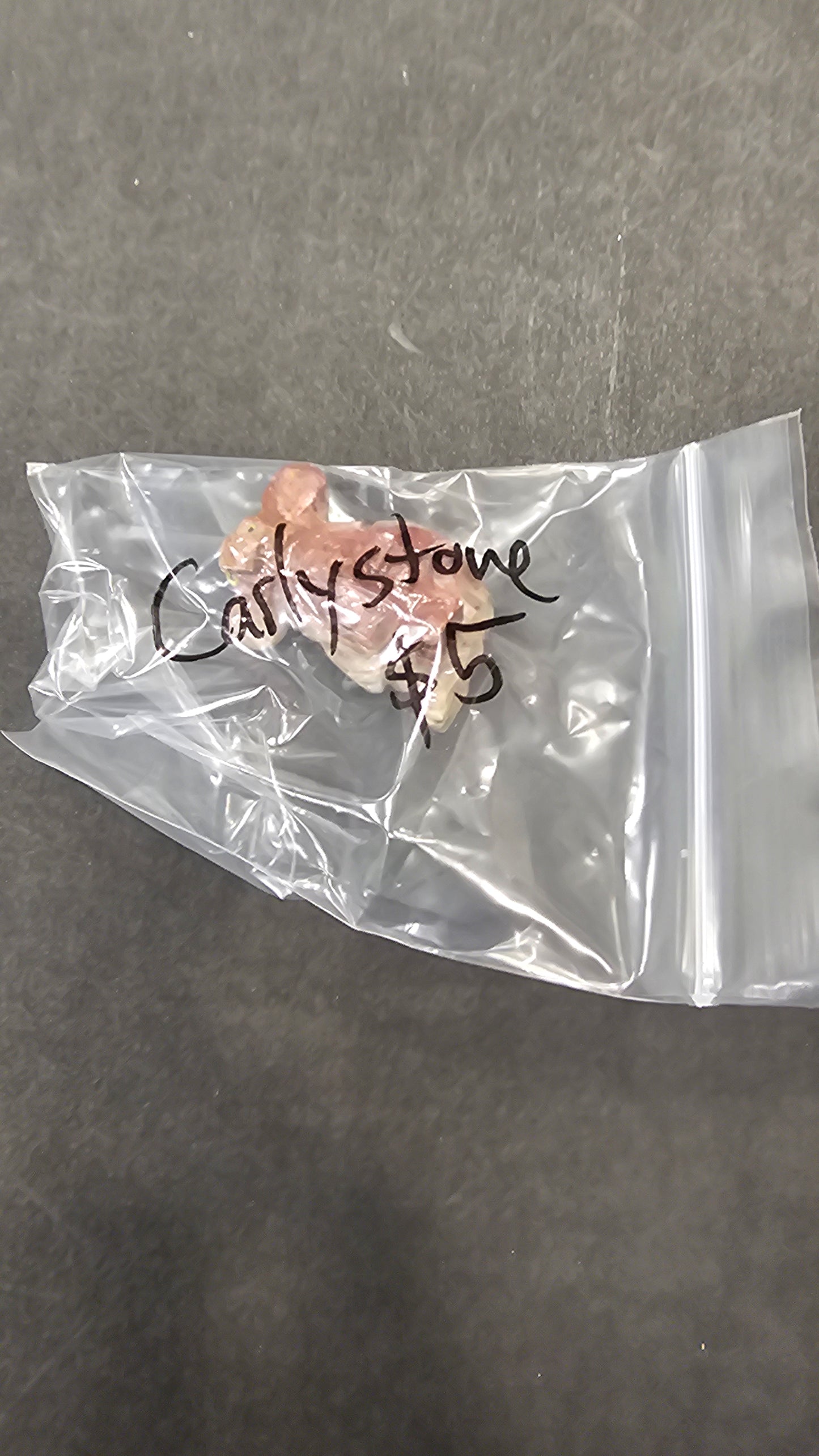 Carlystone at 5 (3/12)
