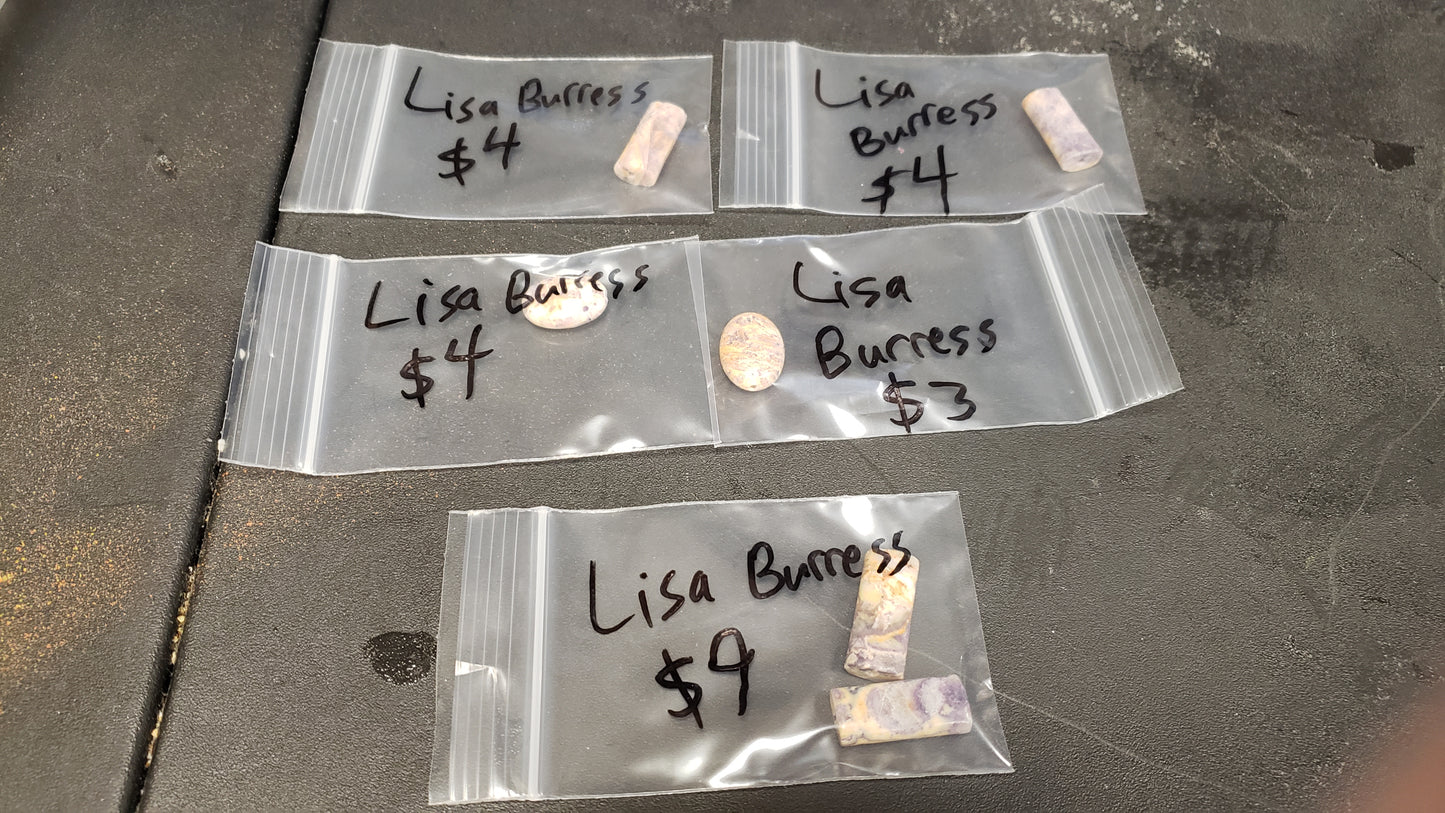 Lisa (2) 4/30 $24