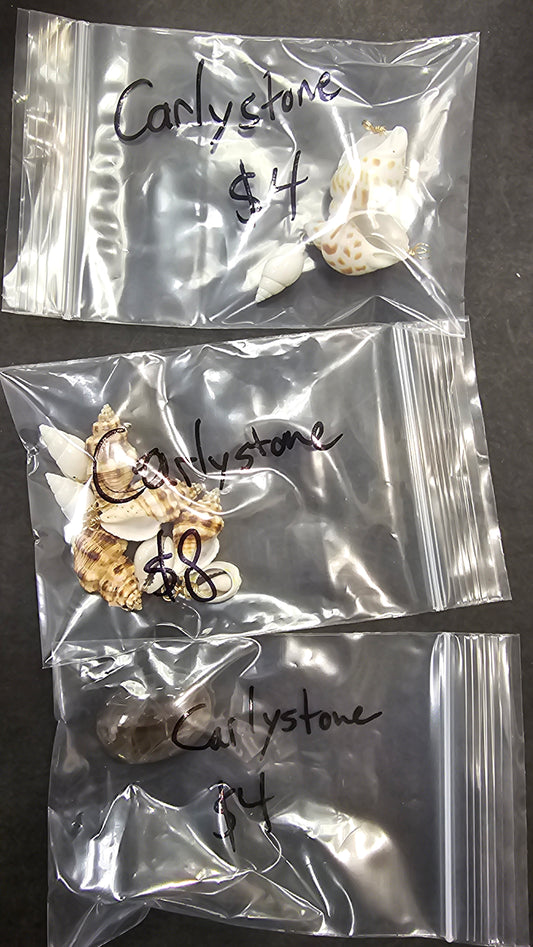 Carlystone at 16 (2/19)