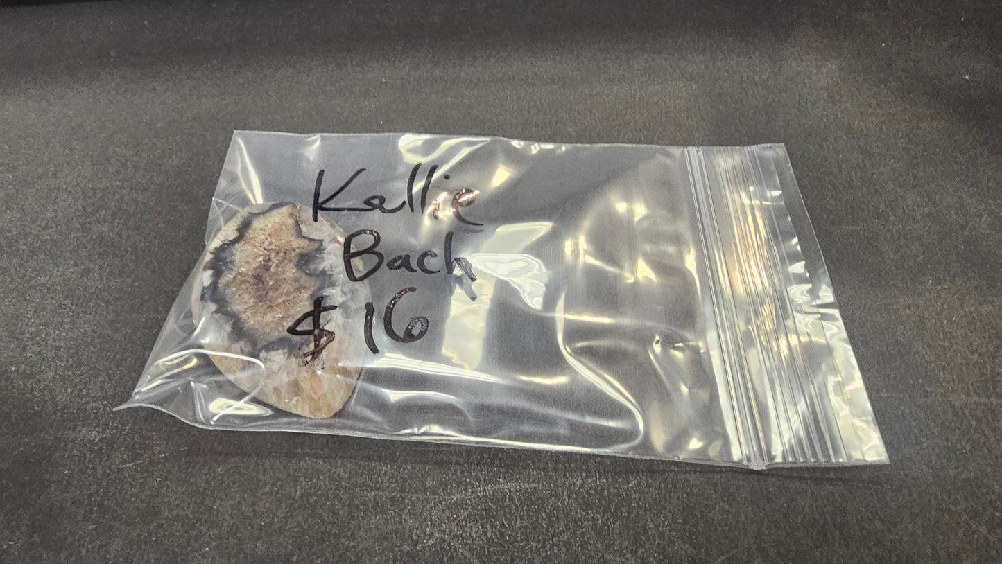 Kellie Bach $16 4/7