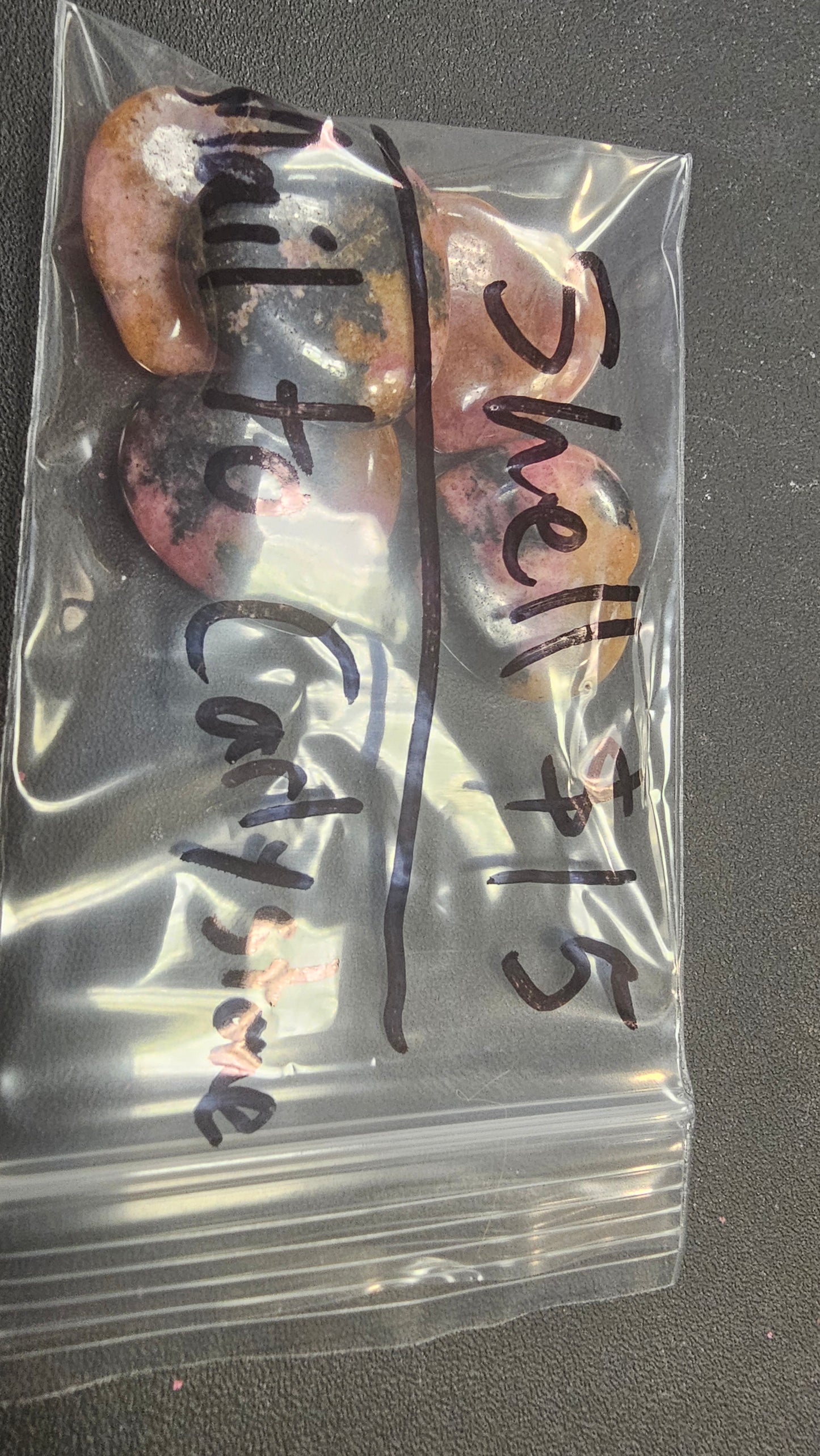 Shell Gift For Carlystone $27