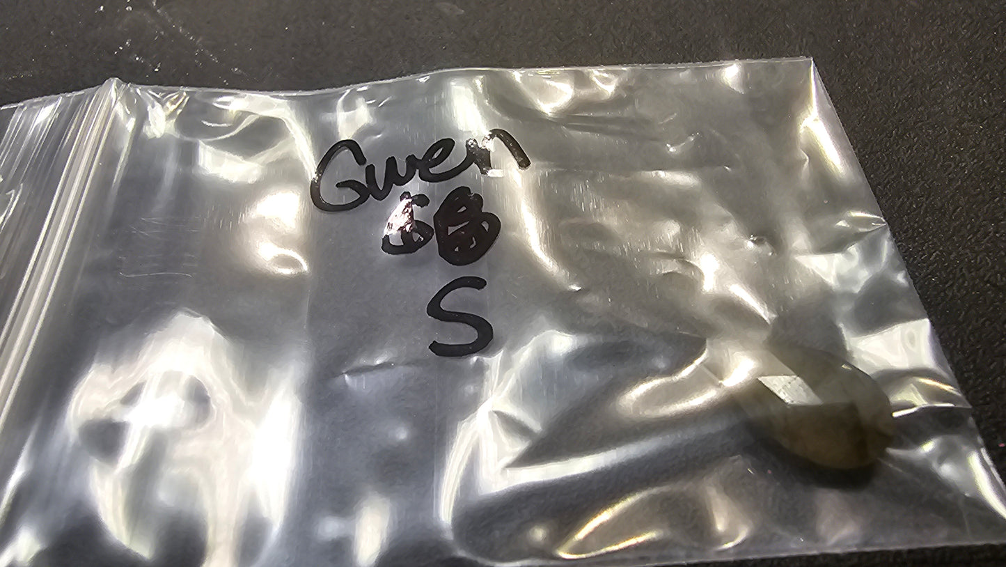 Gwen 7/29 $5