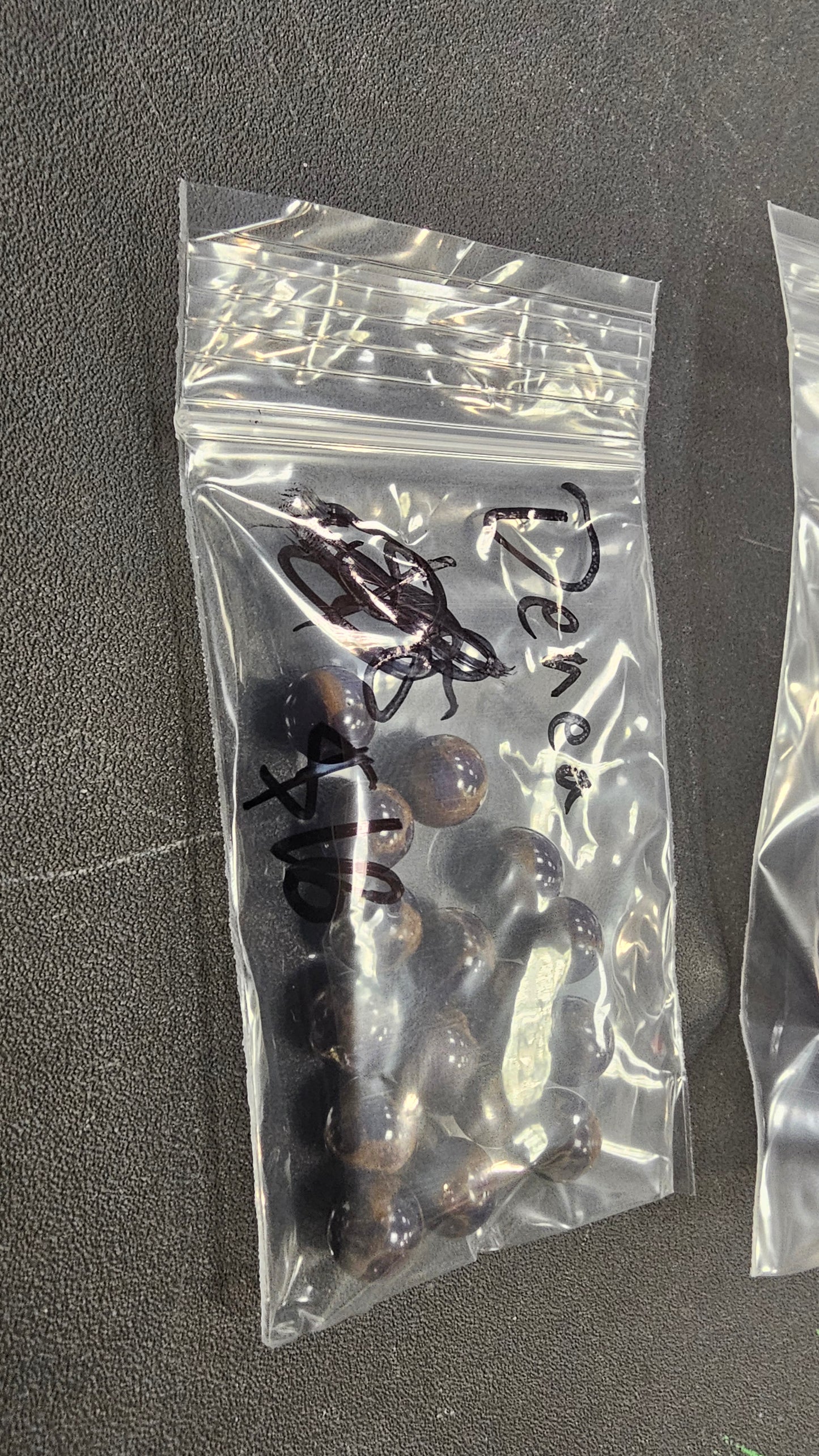 Denea 8/27 $45