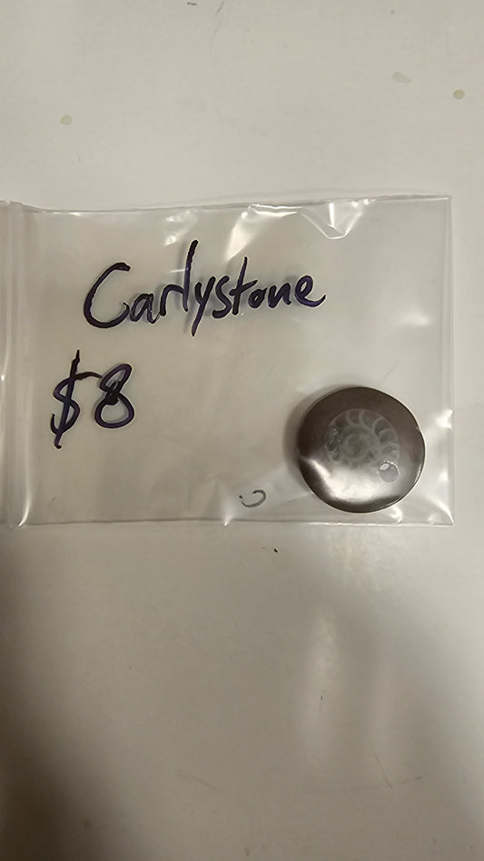 Carlystone at 8